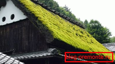 Tradiční norské střechy
