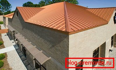Střecha Faltsevy
