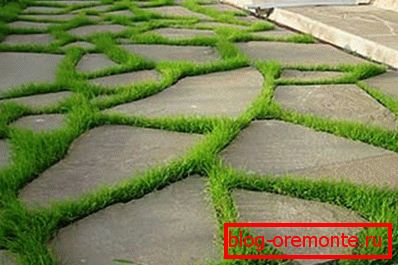 Fotografie atraktivního betonu a trávníku Fotografie atraktivního betonu a trávníku