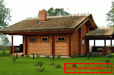 třtina