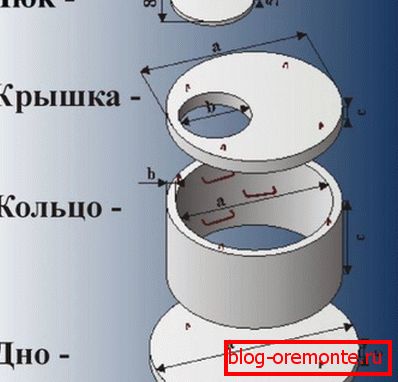 Na této fotografii můžete vidět hlavní součásti struktury, kterou jsme popsali. Na této fotografii můžete vidět hlavní součásti struktury, kterou jsme popsali.
