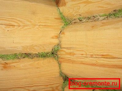 Zpracování mossových štěrbin Zpracování mossových štěrbin