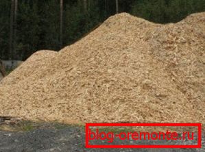 Pilířové jehličnaté stromy - jedna z hlavních komponent Pilířové jehličnaté stromy - jedna z hlavních komponent