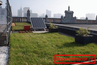 Zelená střecha je využívána